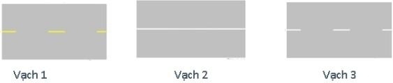 Khi gặp vạch kẻ đường nào các xe được phép đè vạch?