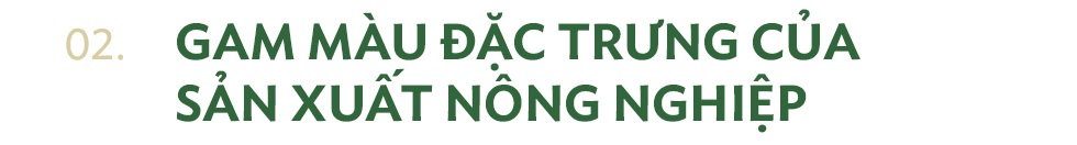 Lý tưởng đem văn hóa cổ truyền gắn liền với triết lý kinh doanh của Minh Tiến Coffee - 5 Lý tưởng đem văn hóa cổ truyền gắn liền với triết lý kinh doanh của Minh Tiến Coffee - 5