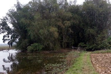 Đôi vợ chồng hơn 40 năm sống ẩn dật như “người rừng”