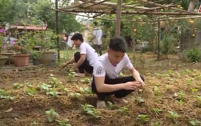 Những khu vườn xanh được chính các học viên tự tay trồng và chăm sóc