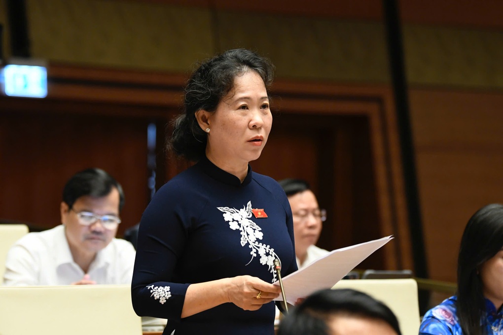 Nhiều đô thị gần như quá tải về sức chống chịu trước thiên tai - 2