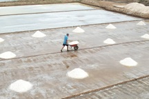 Tổ chức lễ hội nghề muối tôn vinh diêm dân, nâng giá trị biển