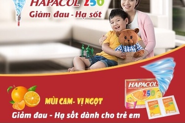 Tổng hợp một số cách đuổi muỗi tại nhà bạn nên biết
