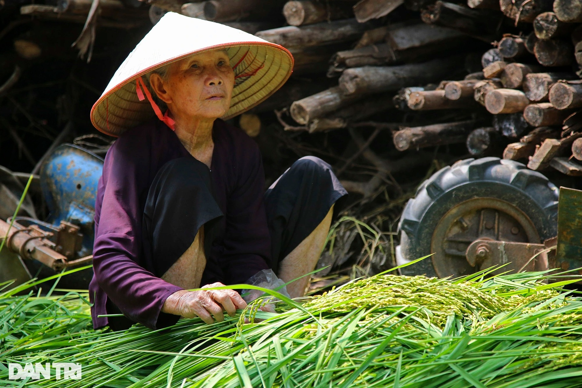 Nghề cốm Mễ Trì: Tự trồng lúa, làm khép kín từ A đến Z - 13