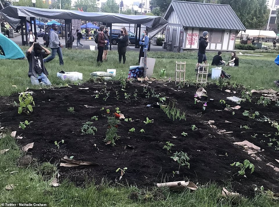 Dãy phố bị người biểu tình Mỹ chiếm giữ, quây thành “khu tự quản” - 9 Dãy phố bị người biểu tình Mỹ chiếm giữ, quây thành “khu tự quản” - 9
