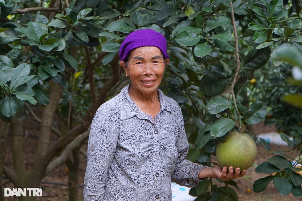 Vợ chồng U70 vào thung lũng lập nghiệp, nhẹ nhàng thu vài tỷ đồng mỗi năm - 1