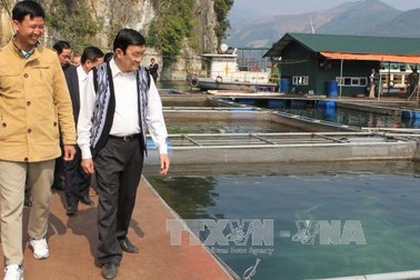 Chủ tịch nước thăm, làm việc tại tỉnh Hòa Bình