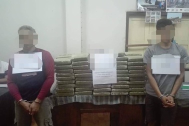 Bắt 3 đối tượng vận chuyển 120 nghìn viên ma túy, hơn 2 tạ cần sa khô