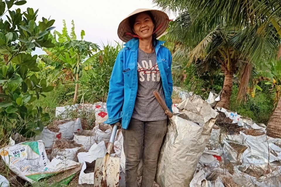 Bỏ phố về quê trồng sâm tiến vua, cô gái thu hàng trăm triệu đồng/tháng - 2 Bỏ phố về quê trồng sâm tiến vua, cô gái thu hàng trăm triệu đồng/tháng - 2