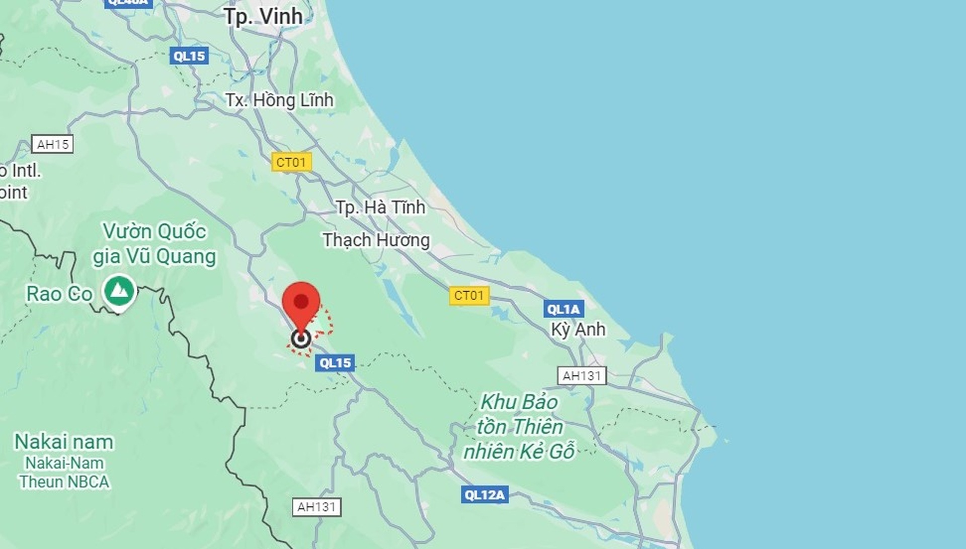 Cận cảnh khúc gỗ trăm năm có một, được định giá tiền tỷ - 13