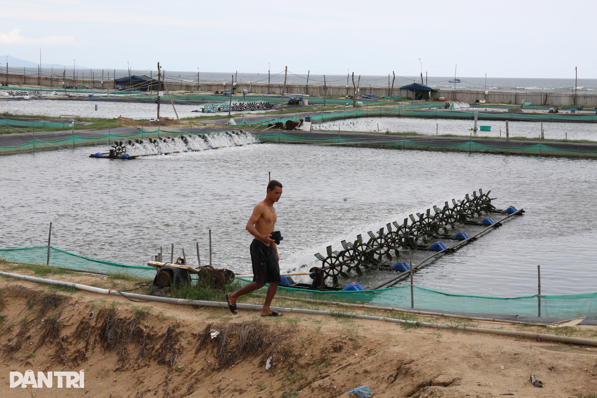 Người dân nhộn nhịp xây nhà, đầu tư vùng quy hoạch nhà máy điện hạt nhân - 9