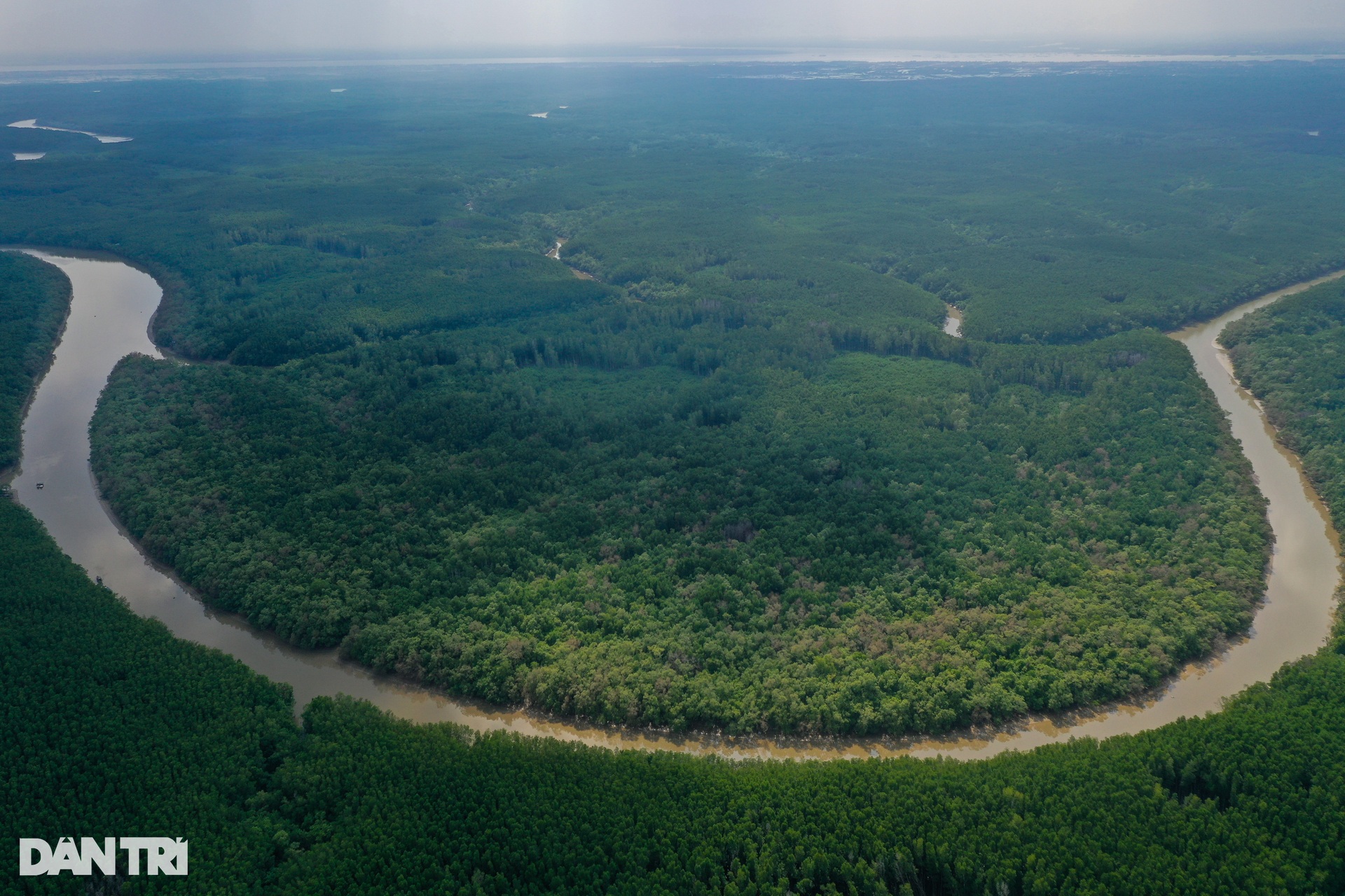 Cận cảnh rừng phòng hộ Cần Giờ được đề cử thành khu Ramsar thế giới - 8 Cận cảnh rừng phòng hộ Cần Giờ được đề cử thành khu Ramsar thế giới - 8