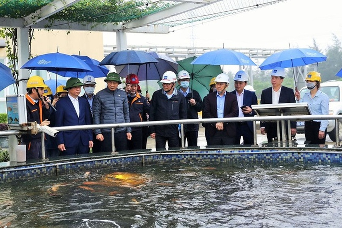 Thấy gì sau 6 năm Formosa Hà Tĩnh gây ra thảm họa môi trường? - 2 Thấy gì sau 6 năm Formosa Hà Tĩnh gây ra thảm họa môi trường? - 2