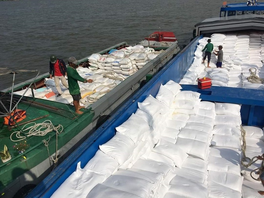 Xuất khẩu gạo trầm lắng, Hiệp hội Lương thực kêu gọi doanh nghiệp bình tĩnh - 1 Xuất khẩu gạo trầm lắng, Hiệp hội Lương thực kêu gọi doanh nghiệp bình tĩnh - 1