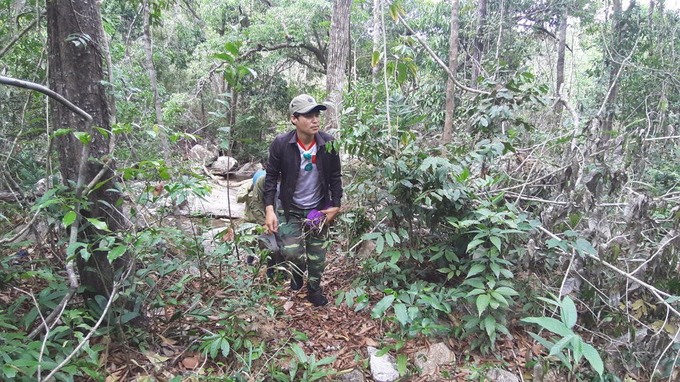 Đến Gia Lai chiêm ngưỡng nàng công chúa ngủ trong rừng - 5 Đến Gia Lai chiêm ngưỡng nàng công chúa ngủ trong rừng - 5