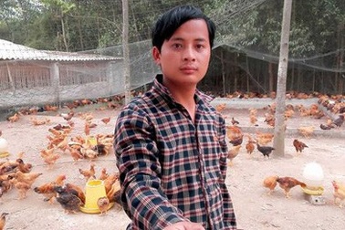 Chàng trai xứ Nghệ nuôi gà đồi cho doanh thu 4 tỷ/năm