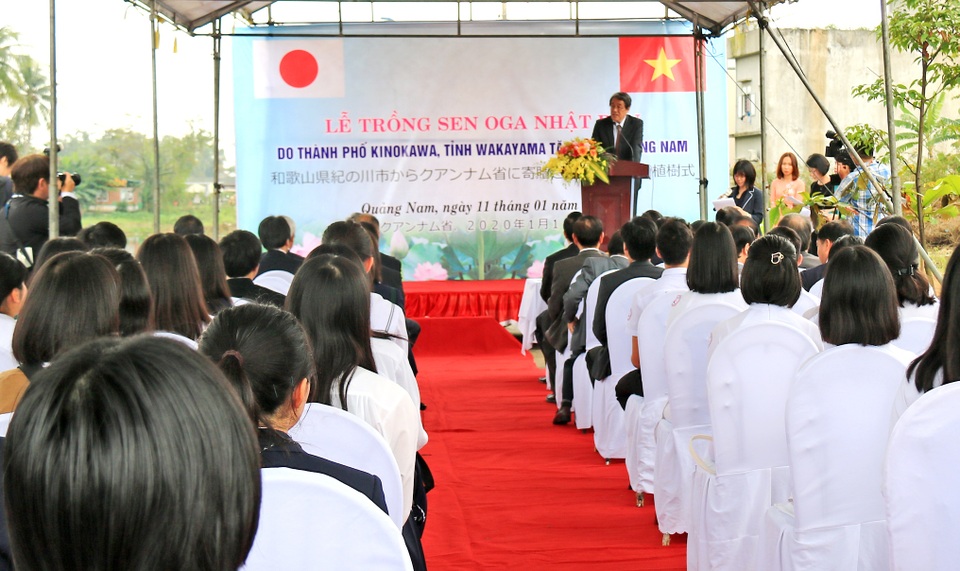 Nhật Bản tặng giống sen quý cho Quảng Nam - 1 Nhật Bản tặng giống sen quý cho Quảng Nam - 1