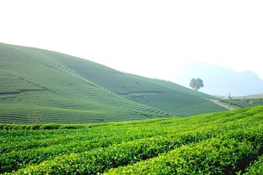 5 điểm đến “hot” nhất cho kỳ nghỉ lễ 2/9