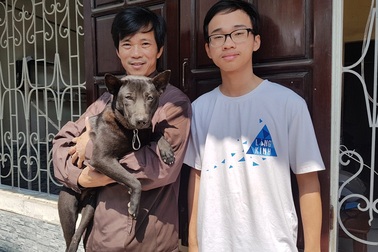 Huế: Chú chó lạc nhà, tìm đến trường cậu chủ học ngồi chờ!