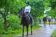 Người Hà Nội rủ nhau học cưỡi ngựa theo phong cách châu Âu