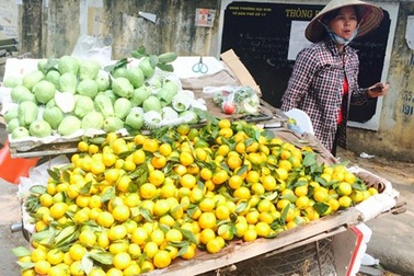 Trái cây Trung Quốc ùn ùn dội chợ