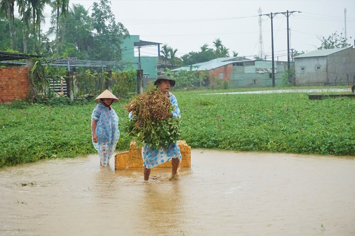 Yêu cầu kiểm điểm Sở Nông nghiệp và 10 địa phương ở Quảng Nam - 1 Yêu cầu kiểm điểm Sở Nông nghiệp và 10 địa phương ở Quảng Nam - 1