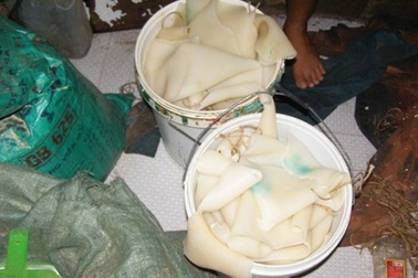 Cận cảnh “công nghệ” chế biến da heo phồng