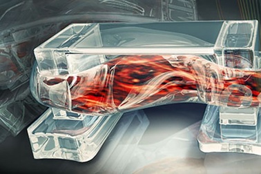 Các nhà khoa học vừa tạo ra một vật liệu sinh học hoàn toàn mới