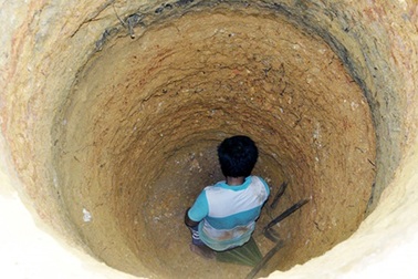 Hoãn mọi cuộc họp không cần thiết để giải cứu hàng ngàn ha lúa