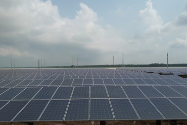 Cả dây doanh nghiệp Trung Quốc "đội lốt" hàng Việt xuất đi Mỹ