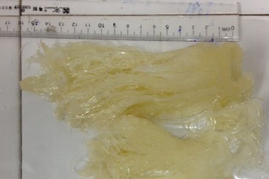 Cảnh báo vi cá mập giả mạo, làm từ nhựa dẻo