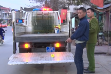 Say xỉn rồi lái xe mùng 2 Tết, người đàn ông xô đẩy, chống đối cảnh sát