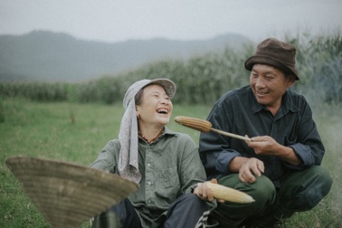 Hạnh phúc bình dị của cặp vợ chồng nông dân Hà Tĩnh trên cánh đồng ngô