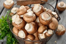 Nấm hương chiên bơ, món ăn ngon miệng cho cả gia đình