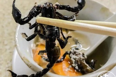 Lạ lùng đặc sản canh bọ cạp nấu nguyên con