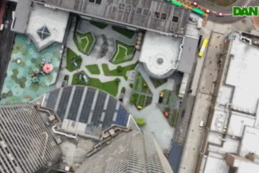 Trồng rau sạch, "phủ xanh" các nóc tòa nhà "chọc trời"