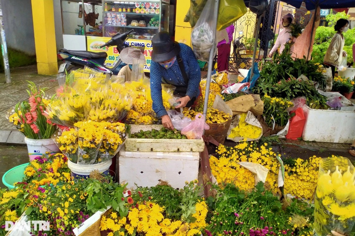 Giá hoa Tết leo thang chóng mặt, có loại đắt gấp 3 - 3 Giá hoa Tết leo thang chóng mặt, có loại đắt gấp 3 - 3