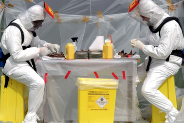 Nguyên nhân gây gia tăng virus truyền bệnh từ động vật sang người