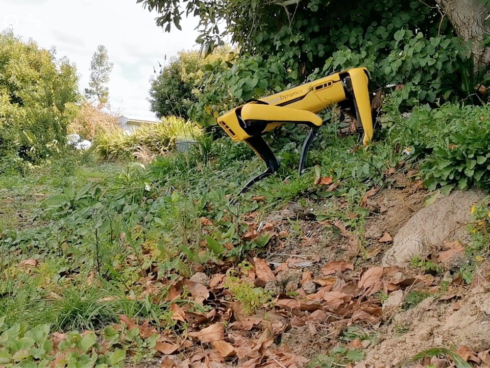 Khi chó chăn cừu là robot - 2 Khi chó chăn cừu là robot - 2
