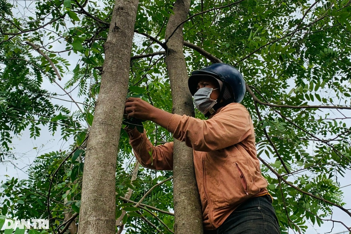 Lạ lùng đặc sản độc nhất ở Tây Nguyên, khách nhắm tít mắt mới dám thử - 1 Lạ lùng đặc sản độc nhất ở Tây Nguyên, khách nhắm tít mắt mới dám thử - 1