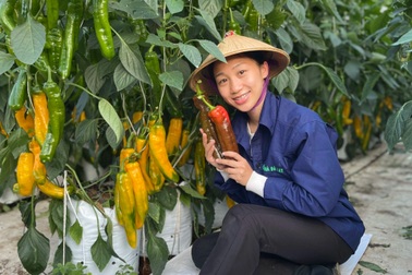 Chốt gần 1.000 đơn trong 15 phút nhờ bán trái lạ Đà Lạt