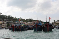 Muỗi nuôi ở Nha Trang ức chế sự phát triển của vi rút Zika