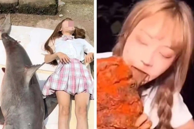 Hot girl mạng xã hội ăn thịt động vật quý hiếm để quay video câu view