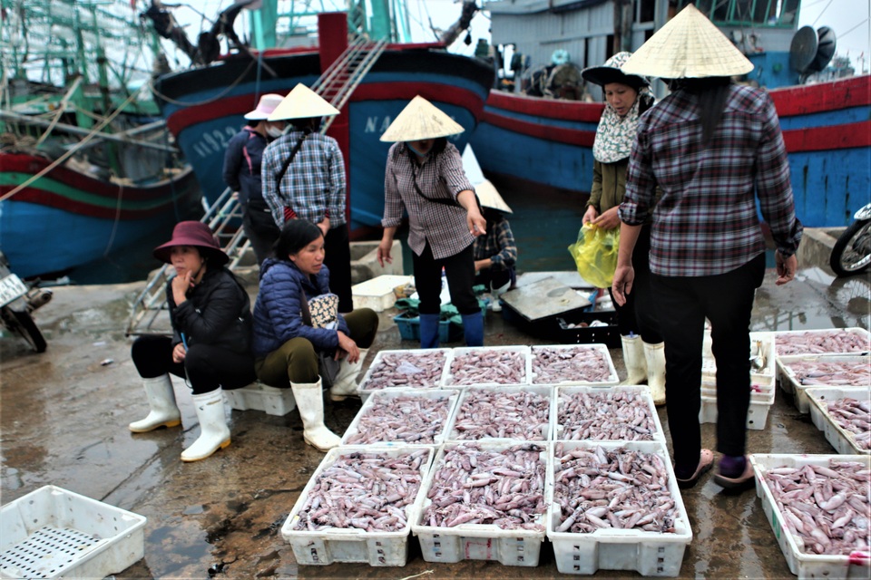 Ngư dân biển Quỳnh đi lộng cho thu nhập cao - 9 Ngư dân biển Quỳnh đi lộng cho thu nhập cao - 9