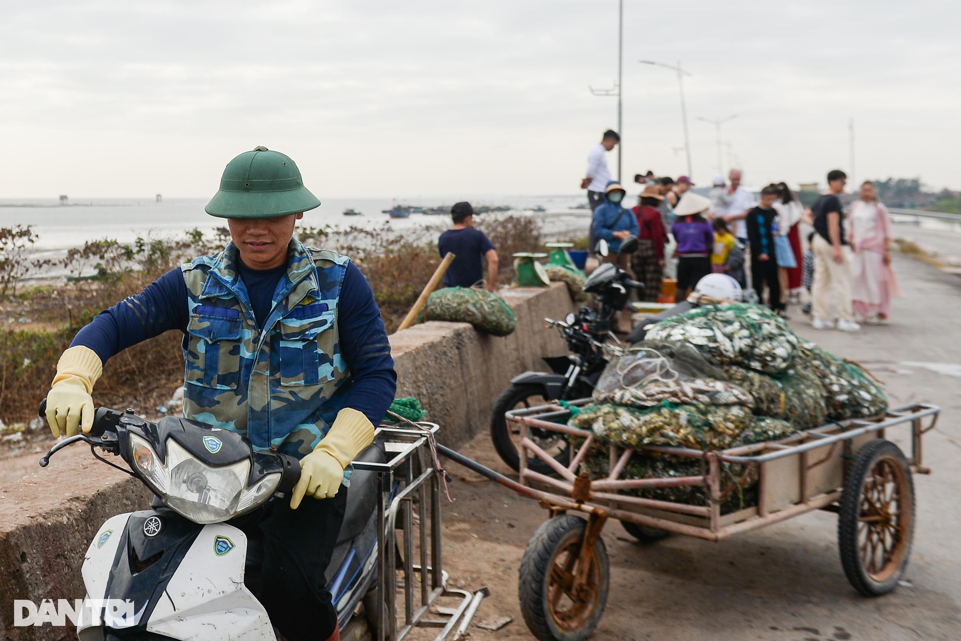 Xông biển chuyến đầu năm, ngư dân kiếm tiền triệu - 3 Xông biển chuyến đầu năm, ngư dân kiếm tiền triệu - 3