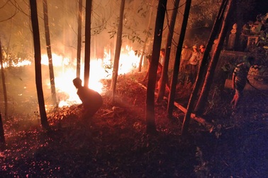 Dân làng tự chữa cháy, thắng “giặc lửa” trong đêm ở khu rừng keo
