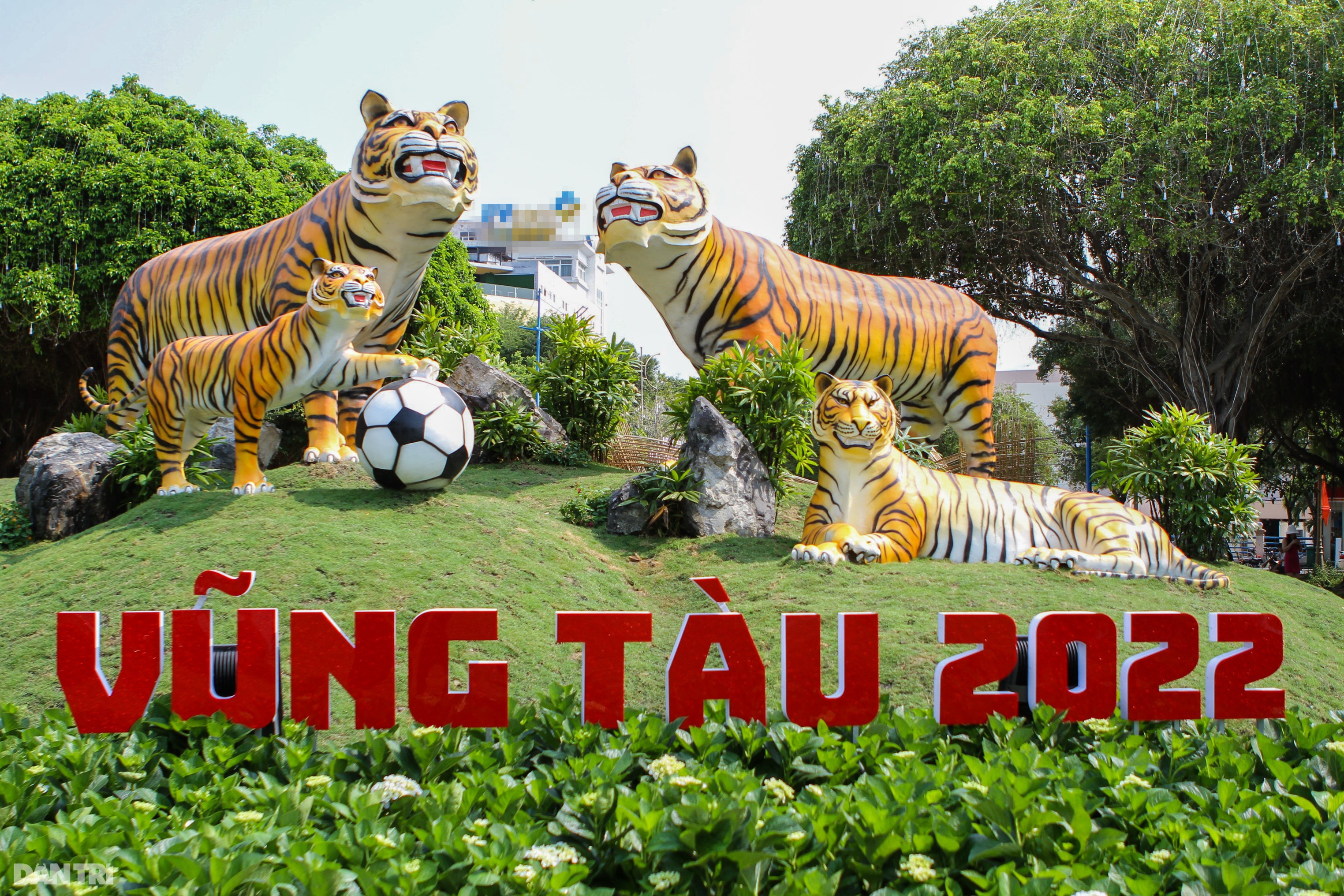 Gia đình hổ uy nghi, hùng tráng tại Hội Xuân thành phố biển Vũng Tàu - 1 Gia đình hổ uy nghi, hùng tráng tại Hội Xuân thành phố biển Vũng Tàu - 1