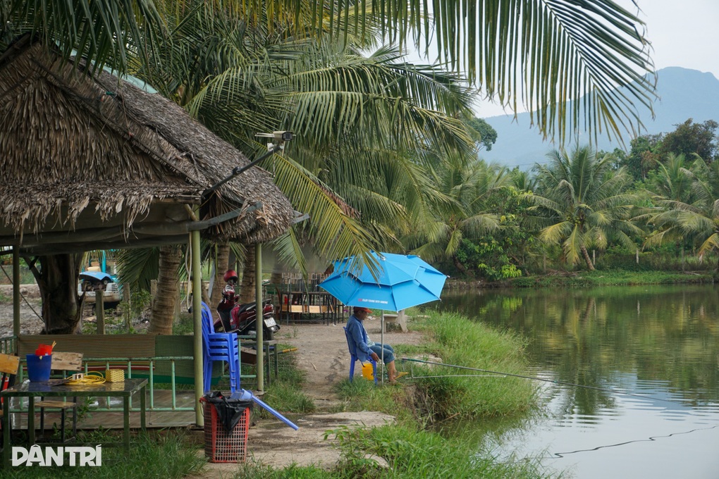 Phất lên trông thấy với loài cần thủ khoái săn - 3 Phất lên trông thấy với loài cần thủ khoái săn - 3