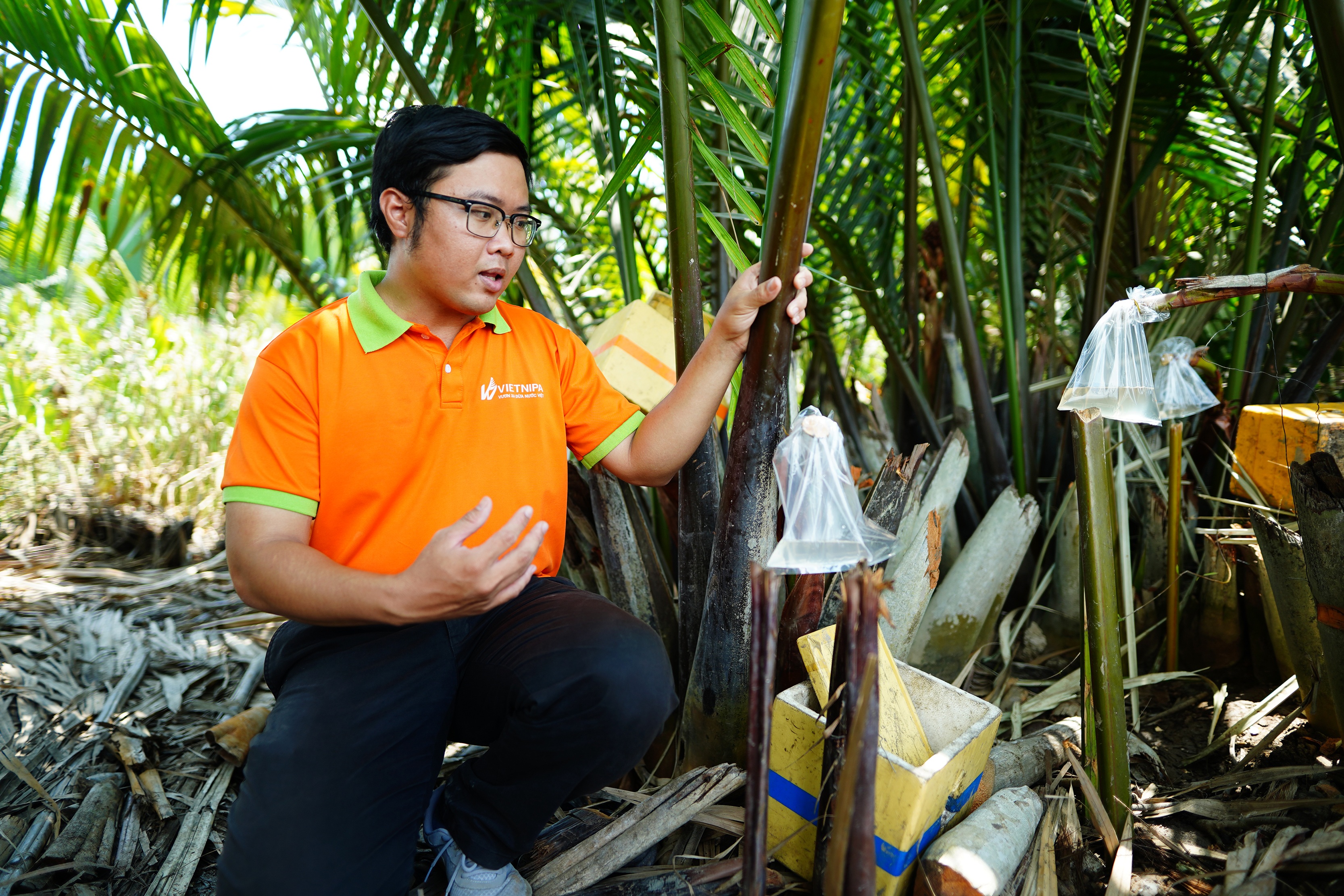 Thanh niên bỏ phố về quê khởi nghiệp với mật dừa nước - 11 Thanh niên bỏ phố về quê khởi nghiệp với mật dừa nước - 11
