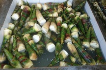 Ngâm măng trong hóa chất để ‘phục vụ’ dân TP.HCM